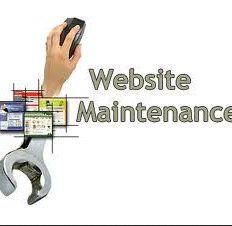 Maintenance Website