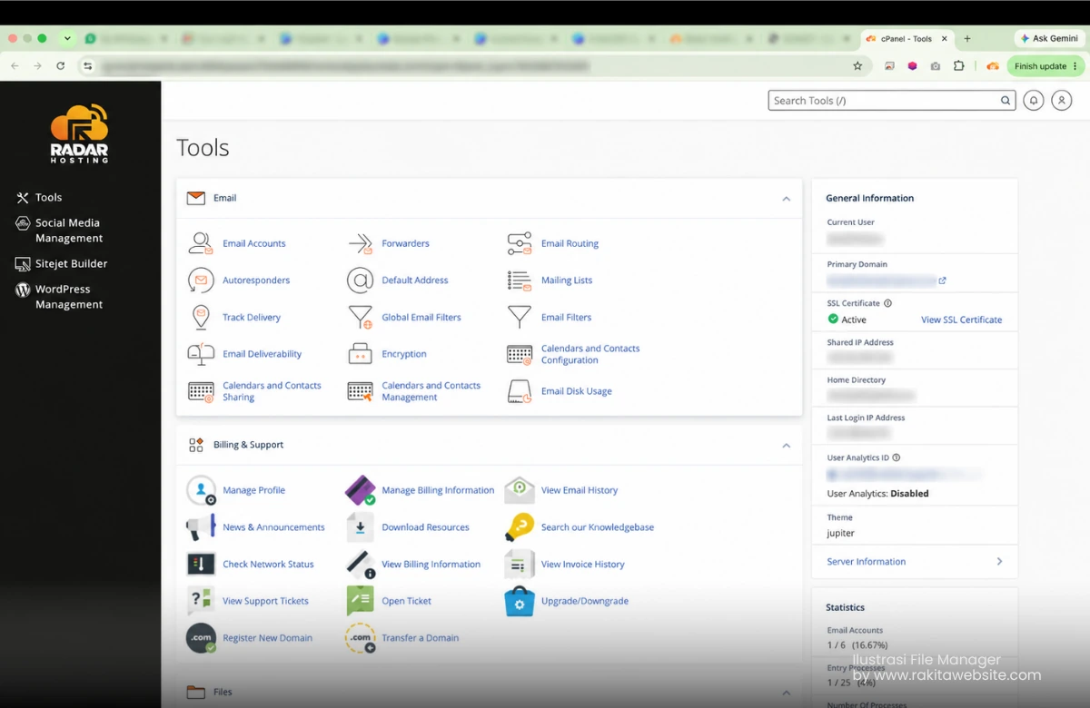 Dashboard cPanel dengan menu pengelolaan email dan hosting.