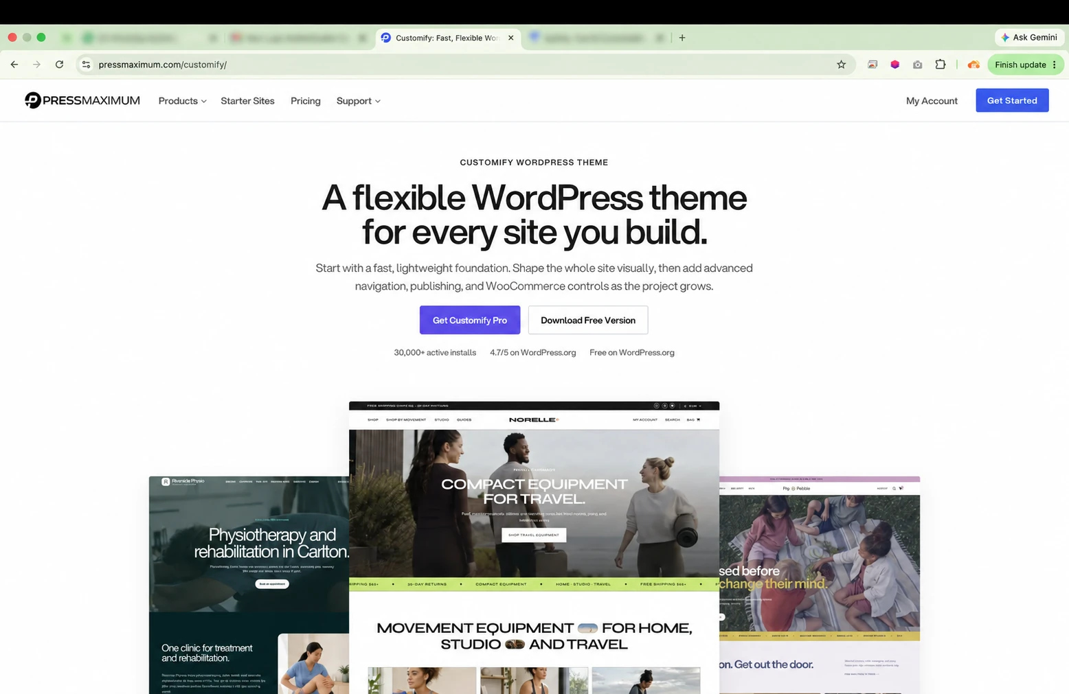 Halaman resmi tema WordPress Customify