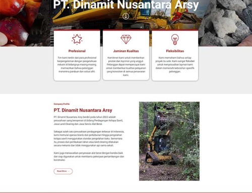 Project Website Perusahaan PT. Dinamit Nusantara Arsy